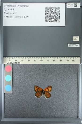 Media type: image;   Entomology 183469